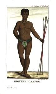 Junger San-Mann mit Speeren, Südafrika. Von Francois Le Vaillant