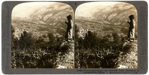 Eine Seidenraupenplantage in den Libanonbergen, Syrien, 1900er Jahre