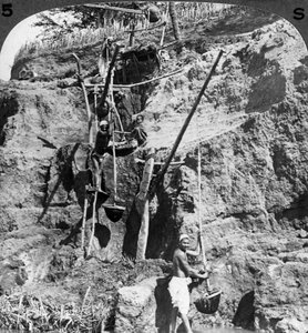 Ein ägyptischer Schaduf hebt das Nilwasser zu den durstigen Feldern, Ägypten, 1905
