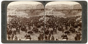 Viehmarkt im unteren Becken von Gihon, Tal von Hinnom, Jerusalem, Palästina, 1900 von Underwood and Underwood