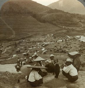 Ausbaggern eines Flussbetts nach Rubinen, Mogok, Burma, um 1900 von Underwood and Underwood