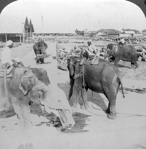 Elefanten arbeiten in einem Holzlager, Indien von Underwood and Underwood
