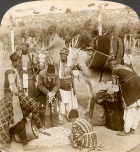 Experten kaufen Seidenkokons für den Export nach Frankreich, Antiochia, Syrien, 1900er Jahre