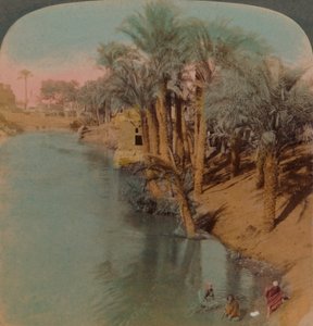 Im Fayum, der reichsten Oase Ägyptens am Bahr Yussef Fluss Joseph, zum Nil, 1902. Künstler: Elmer Underwood, Bert Elias Underwood von Underwood and Underwood