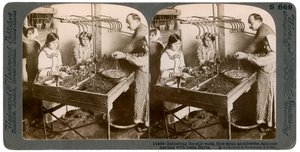 Seidenherstellung, Syrien, 1900er Jahre von Underwood and Underwood