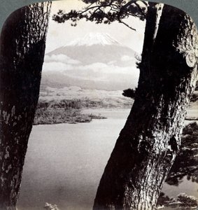 Der Berg Fuji, gesehen vom Nordwesten, durch Kiefern am Lake Motosu, Japan, 1904 von Underwood and Underwood