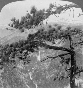 Nevada Falls, Vernal Falls und Liberty Cap, Yosemite Valley, Kalifornien, USA, 1902 von Underwood and Underwood