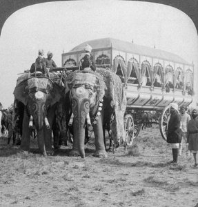 Reich geschmückte Elefanten und Kutsche des Maharadschas von Rewa beim Delhi Durbar, Indien, 1903