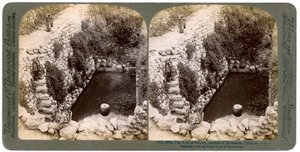 Der Teich von Siloah, außerhalb Jerusalems, Palästina von Underwood and Underwood