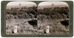Die nordwestliche Ansicht von Shunem über die Ebene von Esdraelon in Richtung Karmel, 1900er Jahre