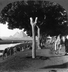 Der Weg zu den Pyramiden, Gizeh, Ägypten, 1905 von Underwood and Underwood