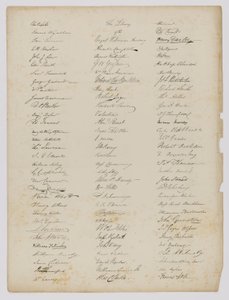 Die Bibliothek der Royal Hibernian Academy (Seite aus dem Buch) von Unidentified (European)