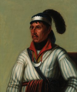 Apauly-Tustennuggee von Unidentified