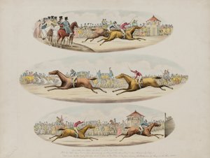 Großes Rennen zwischen dem Norden und dem Süden von Unidentified
