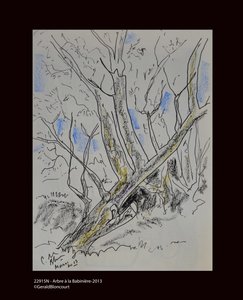 Baum bei Babinière - 2013 von Unknown