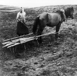 Eine Bäuerin mit Pferd pflügt den Boden auf einem Bauernhof im Dorf Voronovo an der Wolga im vorrevolutionären Russland, 1900 von Unknown