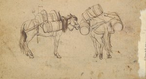 Ansicht am Tiber nahe der Ripa Grande, Rom (recto); Studie für zwei Pferde, die Fässer tragen (verso) von Unknown