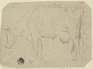 Kuh beim Grasen (recto); Kopf eines Tieres (verso)