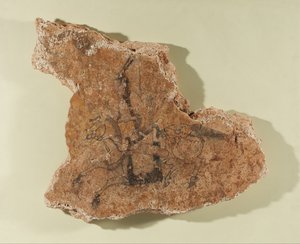 Fragment eines Wandgemäldes mit einem Reiter von Unknown