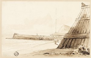 Palisade entlang der Küste von Unknown