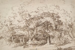 Studie von Bäumen von Unknown