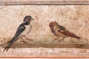 Schwalbe und Spatz, römisches Wandgemälde aus Boscoreale bei Pompeji, 1. Jahrhundert