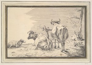 Drei Kühe und ein Schaf