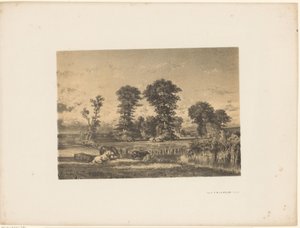 Weidelandschaft mit grasenden Pferden