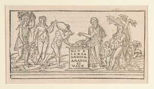 Seite aus einer Kopie nach Francesco Colonna