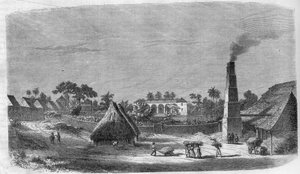 Eine Süßwarenfabrik auf der Insel Kuba im Jahr 1869. von Unknown artist