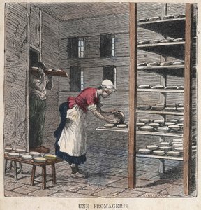 Eine Käserei. Illustration des 19. Jahrhunderts. Bianchetti Sammlung