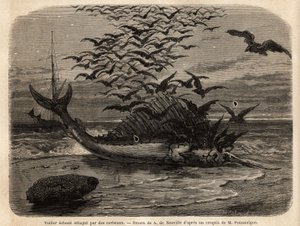 Ein kosmopolitisches Segelboot, der schnellste Fisch der Welt, dank seiner segelförmigen Flosse auf dem Rücken, am Ufer gestrandet und von Krähen angegriffen. Gravur zur Illustration der Geschichte Quatre mois en Florida, von M. Pousselgue, 1851-1852, verö