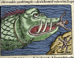 Ein Meeresmonster schlägt einen Schwimmer in der Nähe der Küste Norwegens. Gravur von Olaus Magnus (1490 - 1557), schwedischer Geistlicher und Geograph, „Historia de Gentis Septentrionalibus“, Venedig von Unknown artist