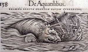 Ein Wal zerstört den Rumpf eines Bootes und verursacht dessen Untergang. Gravur in Historia Animalium von Conrad Gesner (1516 - 1565), Tiguri von Unknown artist