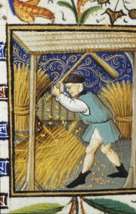 Allegorische Darstellung des August. Ein Bauer, der Weizen schlägt. Miniatur eines Manuskripts aus dem 14. Jahrhundert