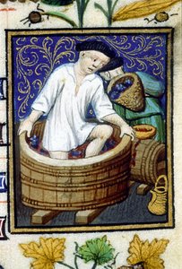 Allegorische Darstellung des September. Ernte, Traubenentfernung. Miniatur eines Manuskripts aus dem 14. Jahrhundert. von Unknown artist