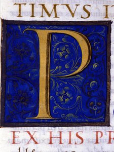 Alphabet: miniaturisierter Buchstabe P von Unknown artist