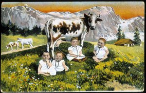 Babys treiben eine Kuh mit Pfeifen - Postkarte, Ende des 19. Jahrhunderts von Unknown artist