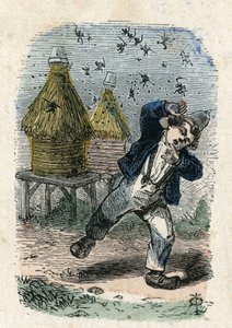 Bienen greifen ein Kind in der Nähe ihres Bienenstocks an. Illustration des 19. Jahrhunderts. Bianchetti Sammlung von Unknown artist