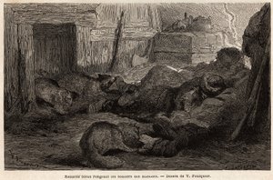Blaue Füchse nagen an den Schuhen von schlafenden Seeleuten im Zufluchtsort der Beobachtungsstation, Zeichnung von V. Foulquier, zur Illustration von Spitzbergen
