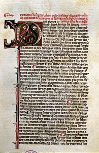 "Buch der Betrachtung über Gott" (Manuskript)