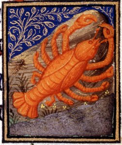 Krebs. Miniatur eines Horoskops. Manuskript des 15. Jahrhunderts. Bibl. Trivulziana, Mailand