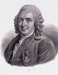 Carl von Linné, schwedischer Naturforscher und Schriftsteller (1707 - 1778) - in „Porträt nützlicher Männer“