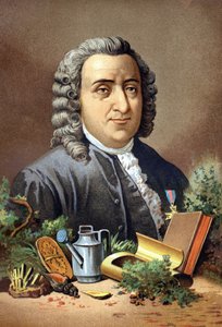 Carl von Linné, schwedischer Naturforscher und Schriftsteller (1707 - 1778) nach „La Ciencia y sus Hombres“ von Louis Figuier. Barcelona 1881 von Unknown artist