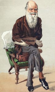 Charles Darwin (1809 - 1882), Illustration in „Vanity Fair“ vom 30. September von Unknown artist