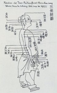 Chinesische Akupunktur: der Meridian der drei Erwärmer