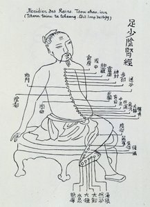 Chinesische Akupunktur: der Meridian der Nieren von Unknown artist