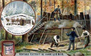 Chromolithographie, Liebig-Bild