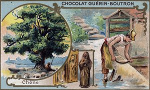 Chromolithographie-Verpackung von Guérin Boutron Schokoladen. 19. Jahrhundert