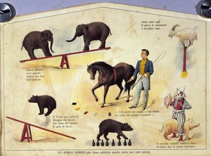 Zirkus: eine Tafel, die verschiedene Arten von Shows mit dressierten Tieren zeigt, darunter Elefanten, eine Ziege, einen Bären, Pferde und ein Schwein. Illustration aus dem 19. Jahrhundert